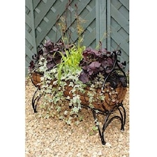 Regal 600 Planter - Solid Steel - L30 x W60 x H76 cm - Black Brown