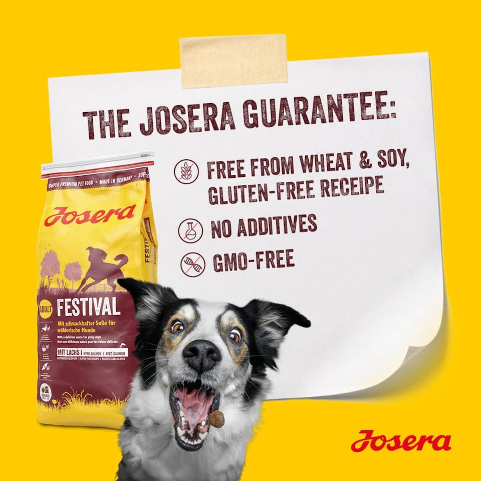 image 1 of Josera Adult Festival complete dog food | For fussy dogs | Feed dry or wet for delicious gravy | Chicken & Salmon | All breed sizes | 3kg