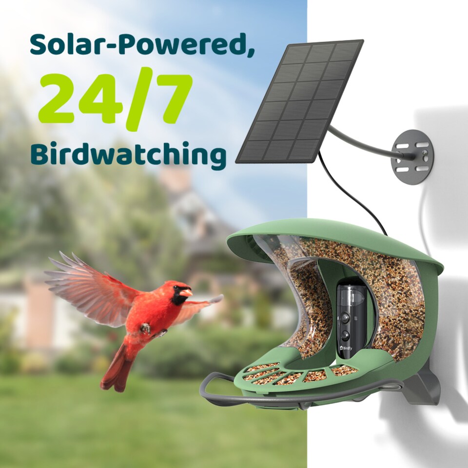 image 1 of BIRDFY FEEDER 2 PRO AI W/ SOLAR