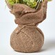 image 5 of Homescapes Set of 3 Pink, Purple & Yellow Artificial Daisies in Rustic Burlap Pots