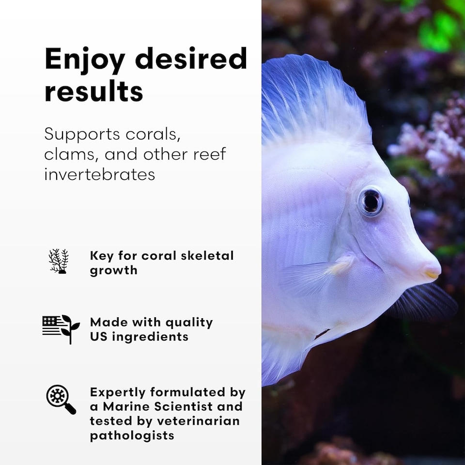 image 1 of Brightwell Kalk Plus 2 Kalkwasser 7.9oz - Calcium Supplement for Aquariums