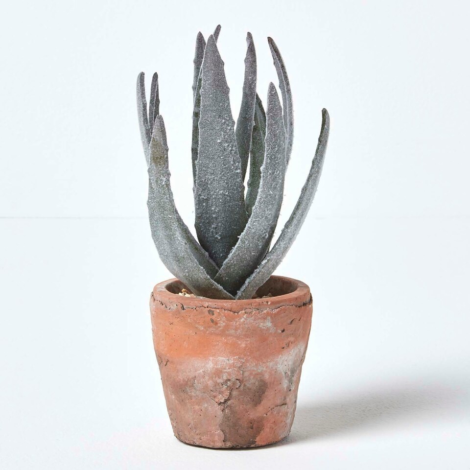 image 1 of Homescapes Aloe Vera Artificial Succulent in Decorative Rustic Terracotta Pot, 21 cm Tall