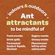 image 7 of Inoscent Ant Repellent Spray (5l) for Indoor & Outdoor Use, Natural Peppermint Oil Formula For Home & Garden, Family Friendly