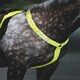 image 3 of Shires Equi-Flector® Breastplate Pink | Size: Cob/Full
Colour: Pink
