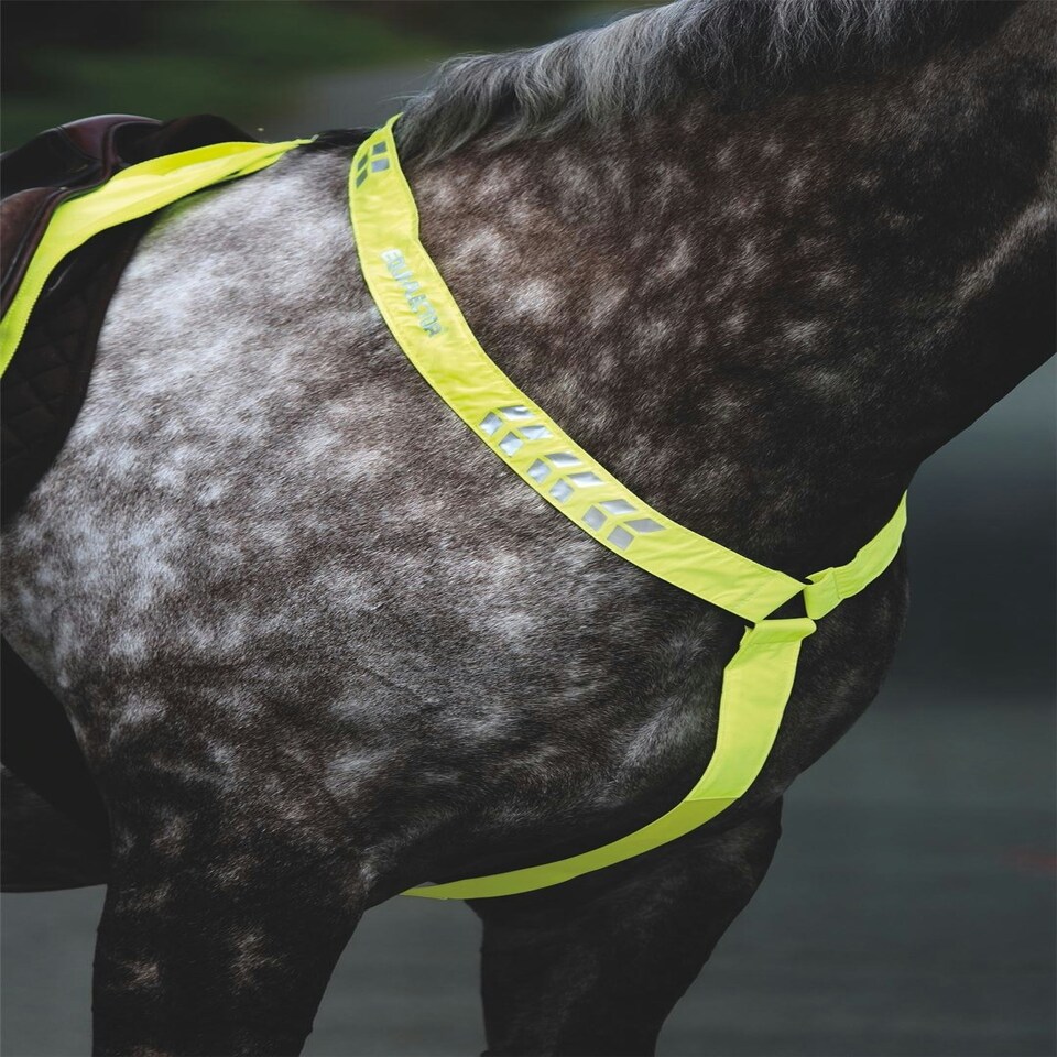 image 1 of Shires Equi-Flector® Breastplate Pink | Size: Cob/Full
Colour: Pink