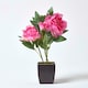 image 2 of Homescapes Pink Artificial Peonies in Decorative Black Pot, 48 cm Tall