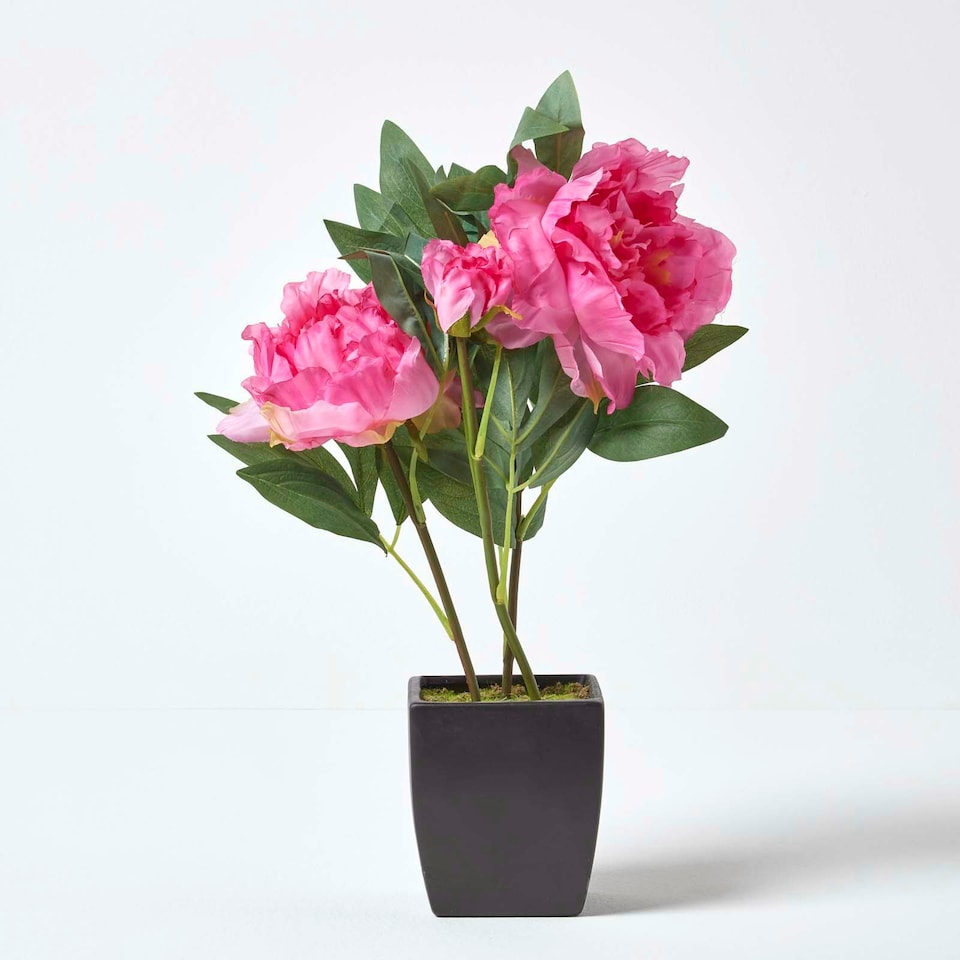 image 1 of Homescapes Pink Artificial Peonies in Decorative Black Pot, 48 cm Tall