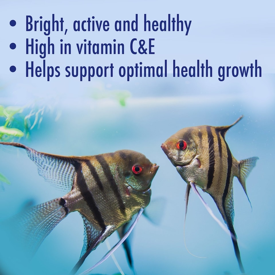 image 1 of 2 x 25g Aquarian Tropical Fish Flakes Complete Nutrition for Small Tropical Aquarium Fish Fish Food & Aquarium Supplies