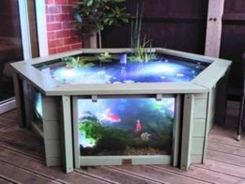 image 1 of Raised hexagon pond with large windows Lily Clear View Garden Aquarium in Seagrass Green