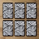 image 4 of Zebra Print (Coaster)