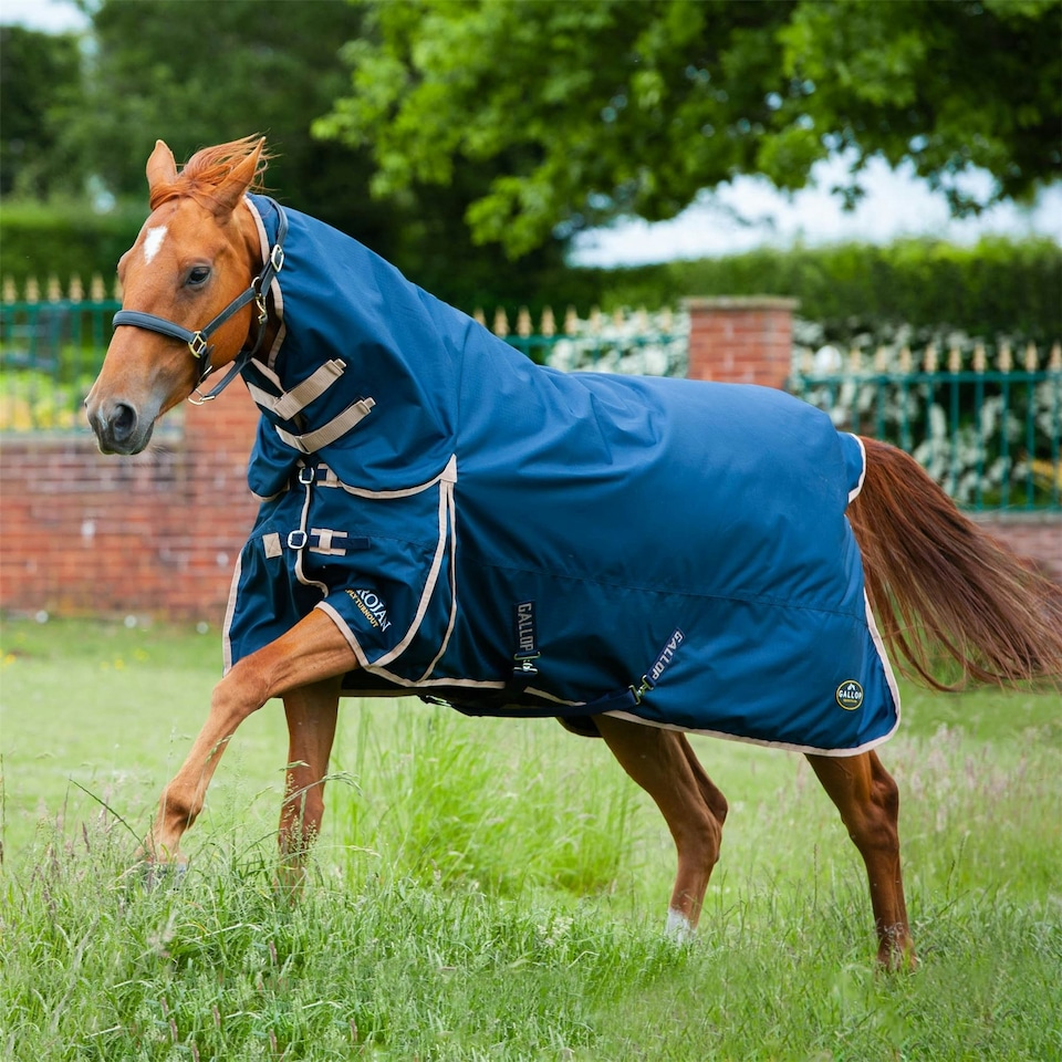 image 1 of Gallop Equestrian Trojan 100 Combo Turnout Red | Size: 7ft 0
Colour: Navy/Red