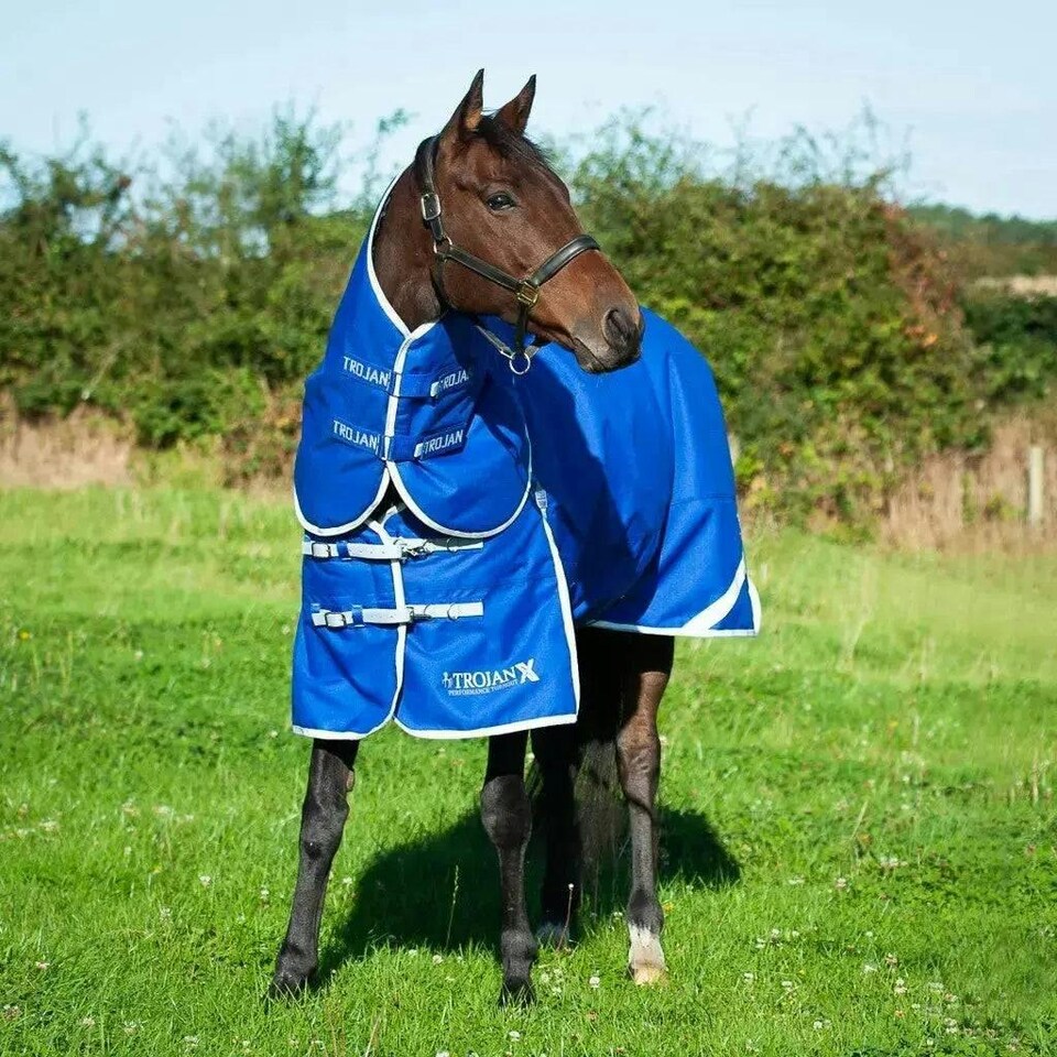 image 1 of Gallop Equestrian Trojan Xtra 300 Dual Turnout Rug & Neck Set Red | Size: 6ft 6
Colour: Navy/Red