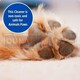 image 4 of Marco Paul Pack of 4 20L Pet Stain And Odour Remover