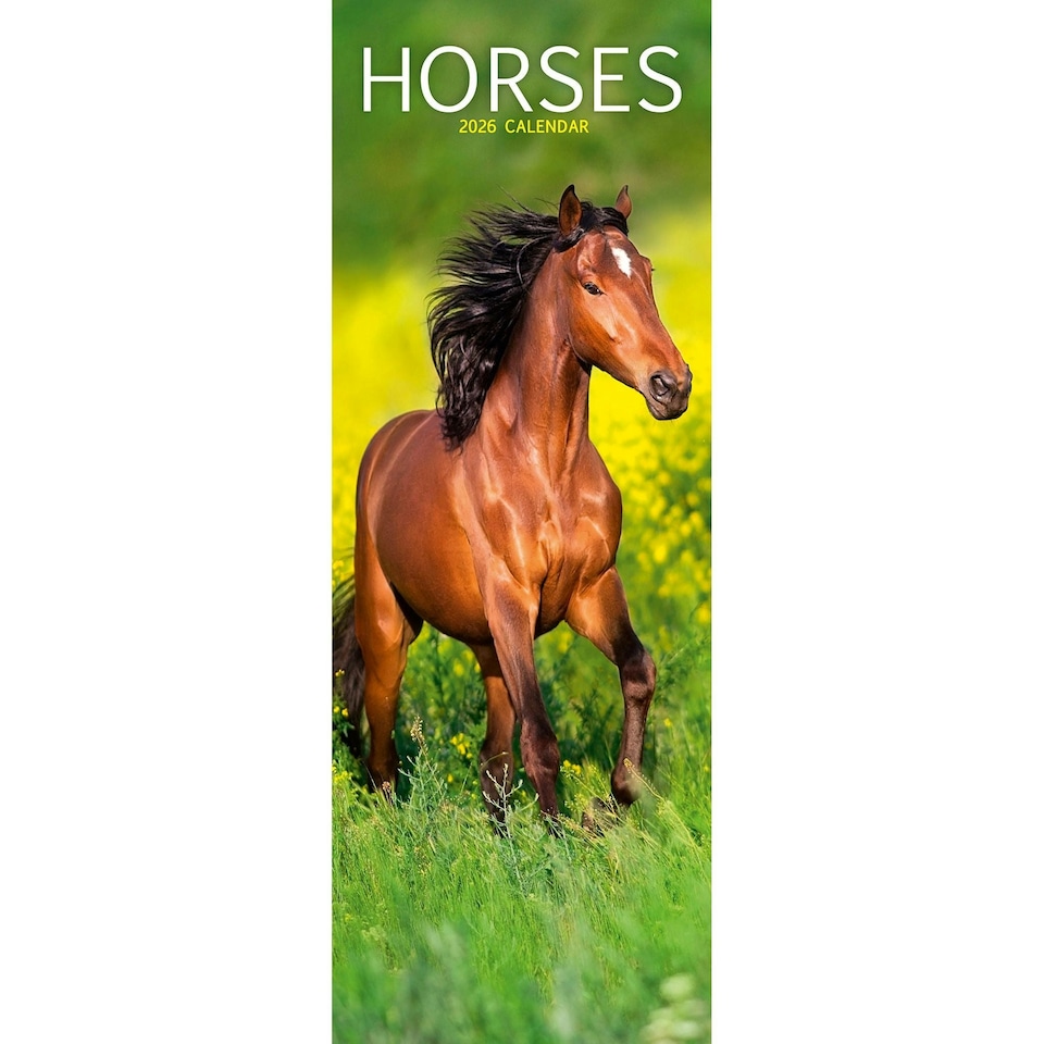 image 1 of Horses Slim 2026 Calendar | Slimline Wall Calendar | Animal Gift | Plastic Free Packaging | by Avonside Publishing [Calendar] Avonside Publishing Ltd