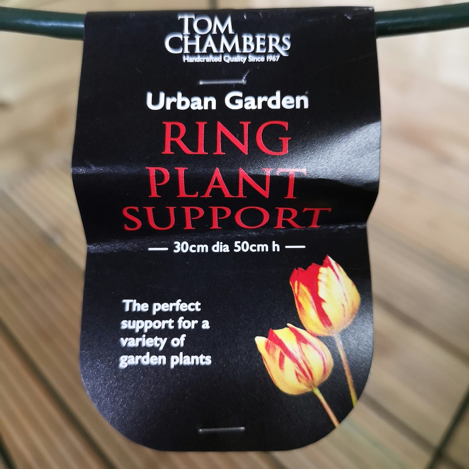 image 1 of Pack of 3 Tom Chambers Urban Metal Herbaceous Garden Plant Support Ring Medium 30cm x 50cm
