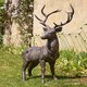image 2 of Majestic Giant Standing Stag Decoration