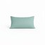 Duck Egg Blue