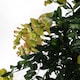 image 3 of Artificial Wisteria Tree 120cm Artificial Yellow Trunk