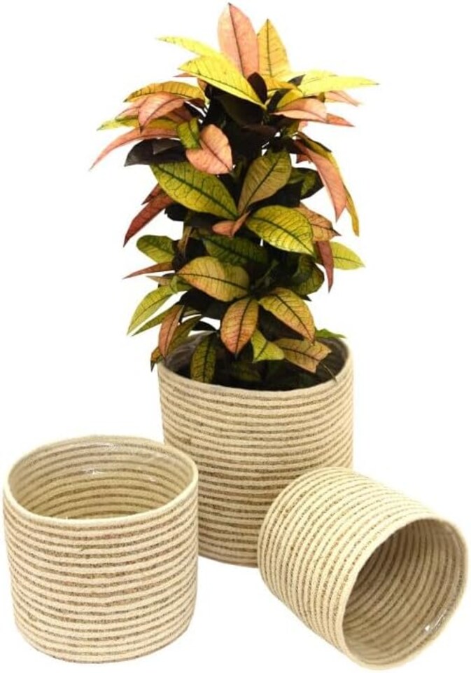 image 1 of Indoor Planter Basket Natural Navy Seagrass Set of Three 25cm, 20cm & 17cm Diameter Garden Gear | Cream