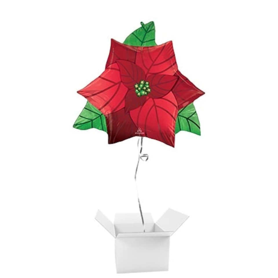 Poinsettia Christmas Flower Foil Helium Giant Balloon - Inflated Balloon in a Box