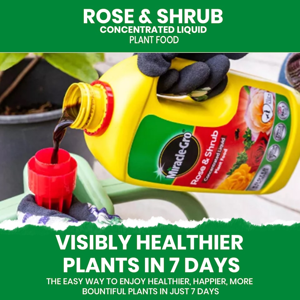 image 1 of Miracle-Gro Rose and Shrub Liquid Plant Food 800ml Fast Acting Feed for Strong Growth Flowering Green Leaves 2 Week Boost