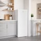 image 5 of HYE Freestanding Larder Fridge, 242 Litre, 55cm, White - RF01SDF242W01