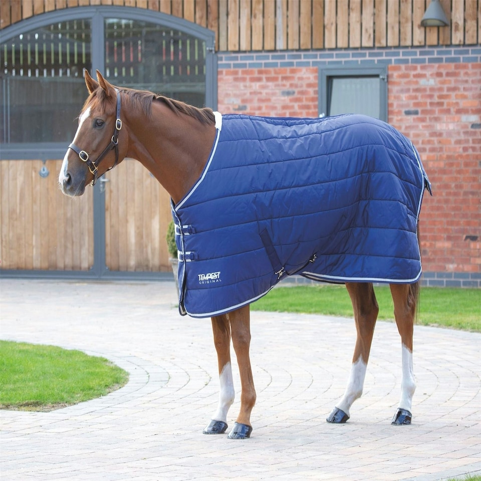 image 1 of Shires Tempest Original 200 Stable Rug Green | Colour: Emerald
Size: 6ft 6