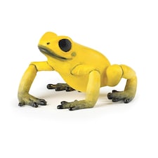 PAPO Wild Animal Kingdom Yellow Equatorial Frog Toy Figure