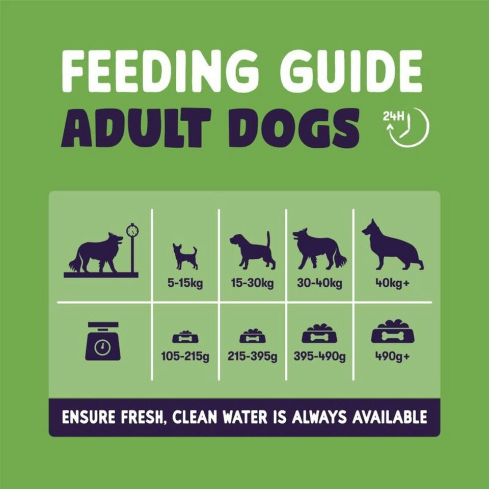 image 1 of Burgess Sensitive Adult Dog Lamb - 12.5KG