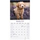 image 3 of Toy & Miniature Poodle  2026 Calendar | Square Wall Calendar | Dog Breed Gift | Plastic Free Packaging | by Avonside Publishing
