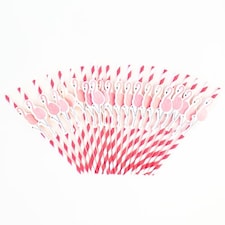 Assorted Summer Paper Straws - Pack of 20