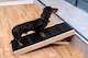 image 2 of The Ramp People Adjustable Dog Ramp for Beds and Sofas - 50kg Capacity - Medium