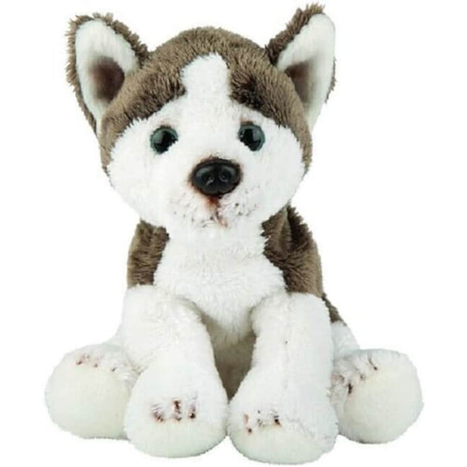 Siberian Husky Small Sitting