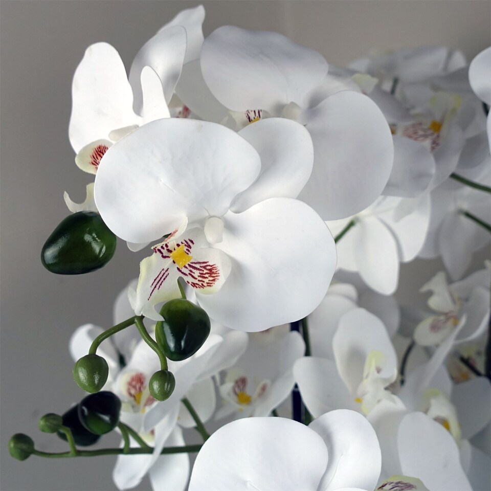 image 1 of 50cm Artificial Orchid with Glass Planter - White