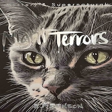 Night Terrors: The Ghost Stories Of E.f. Benson