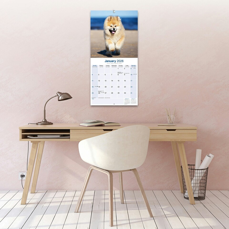 image 1 of Akita 2026 Calendar | Square Wall Calendar | Dog Breed Gift | Plastic Free Packaging | by Avonside Publishing