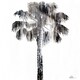 image 1 of Tall Palm (Canvas Print) 36" x 24"