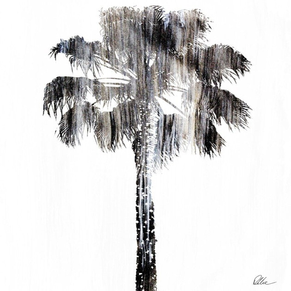 image 1 of Tall Palm (Canvas Print) 36" x 24"