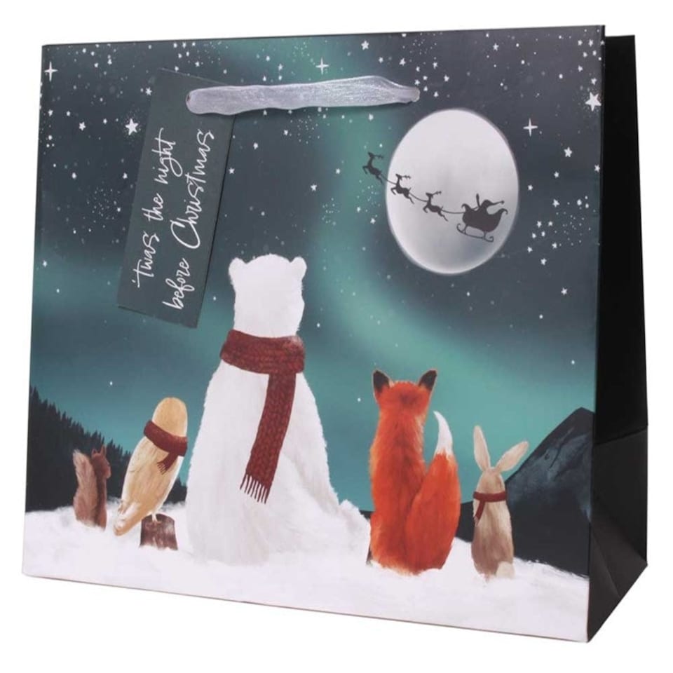 image 1 of Pack of 12 Stargazing Landscape Medium Christmas Gift bags