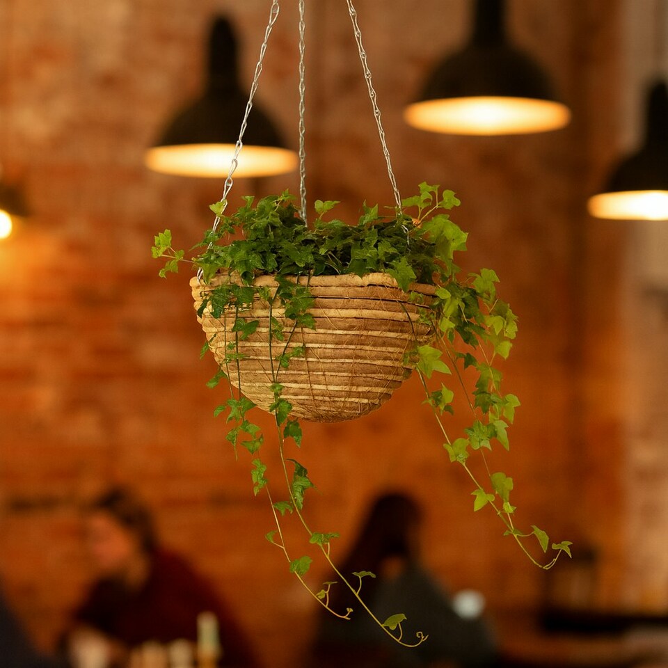 image 1 of Green Blade Rope Hanging Basket - 30cm - Planter Flower Pot Plant Pot Hanger | Brown | Brown