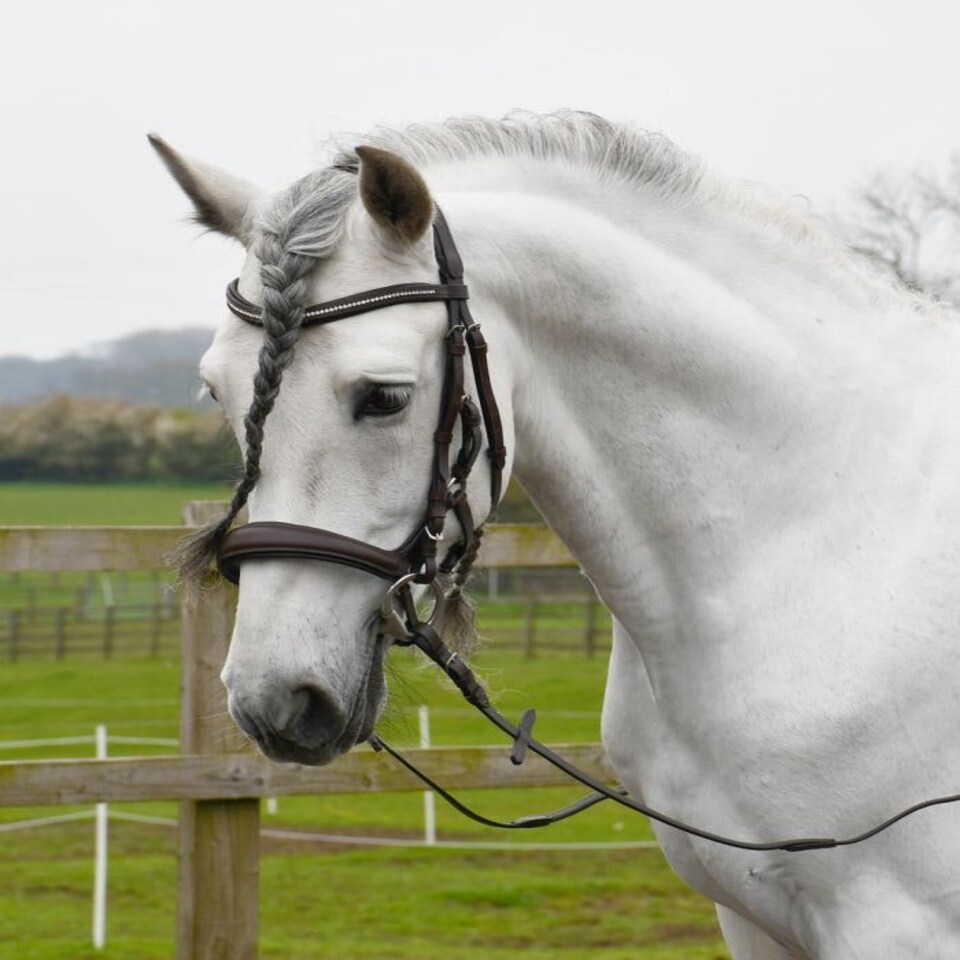 image 1 of Rhinegold Anatomical Cavesson Bridle Black | Size: Pony
Colour: Black