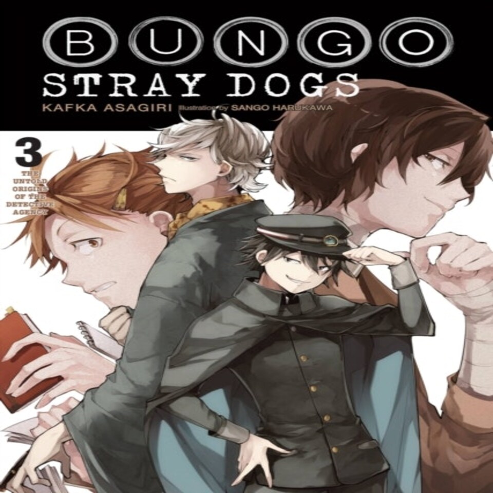 Bungo Stray Dogs Vol. 3 (light Novel)