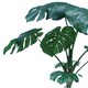 image 2 of 180cm Monstera Realistic Artificial Tree Green