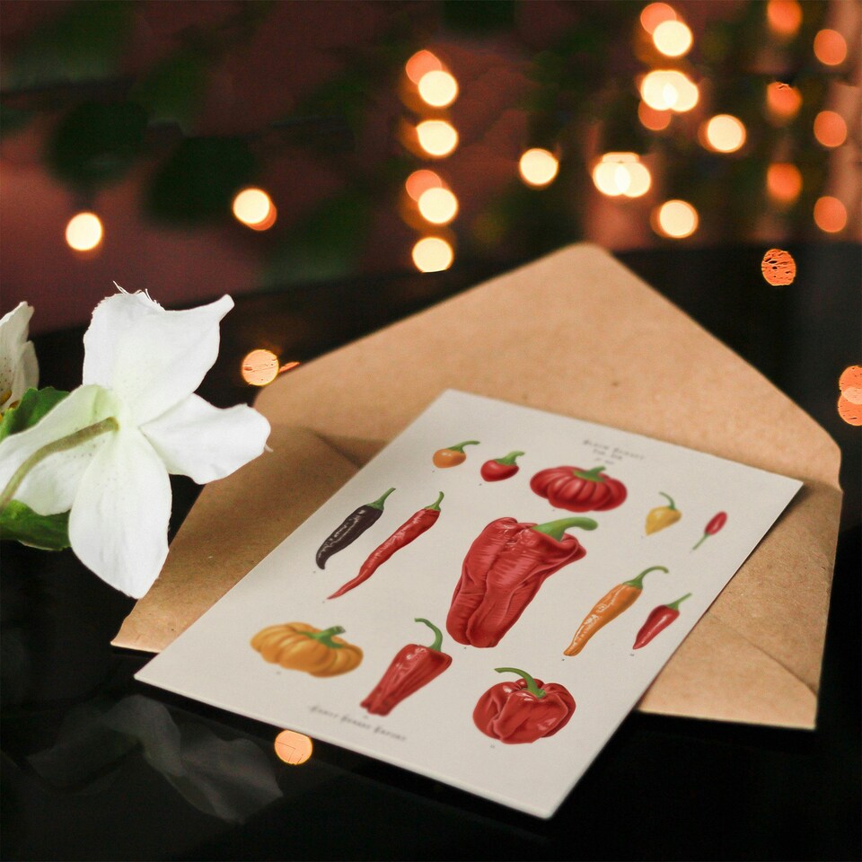 image 1 of Ernst Benary Art Card Capsicums and Chili Pepper Varieties