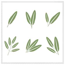 Herbs (Picture Frame) White | L