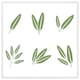 image 1 of Herbs (Picture Frame) White | L