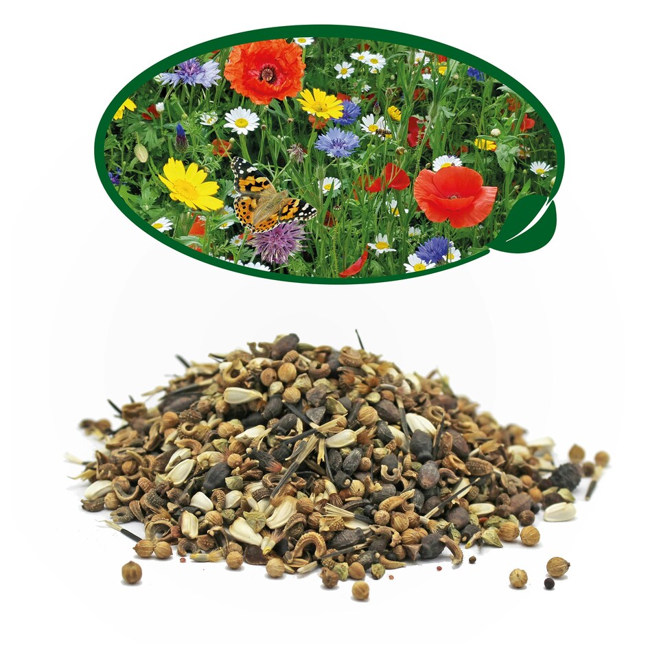 image 1 of Pronto Seed Pure Wildflower Seed Mix 100g, Covers 100m²