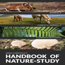 Handbook Of Nature Study In Color -