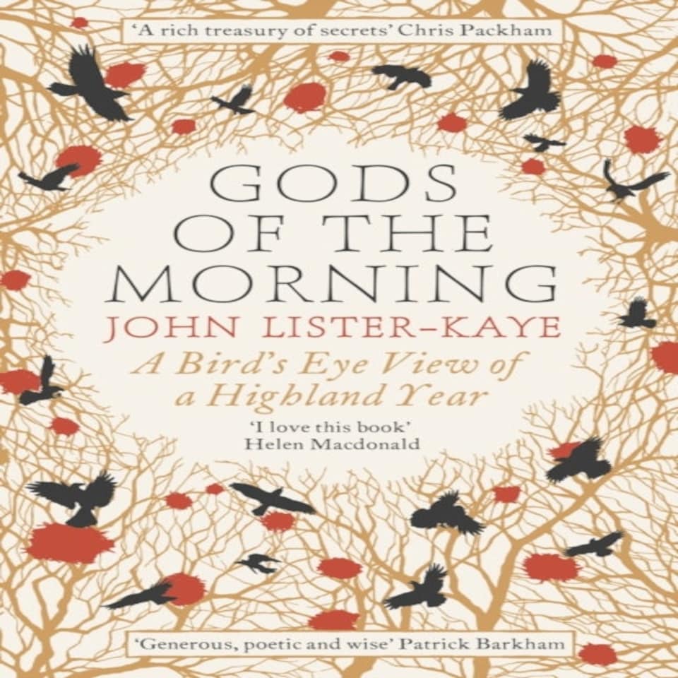 Gods Of The Morning
