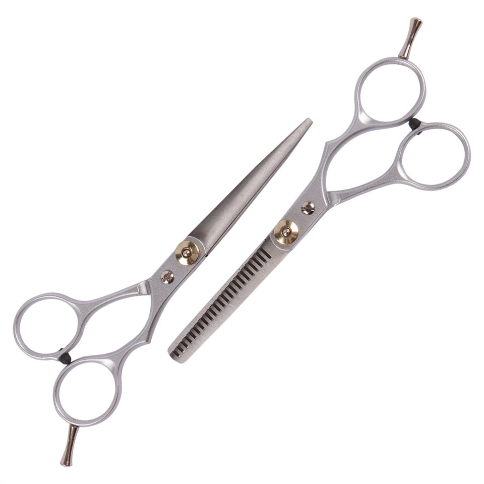 Ashley 2pc Stainless Steel Hairdressing Scissors Set
